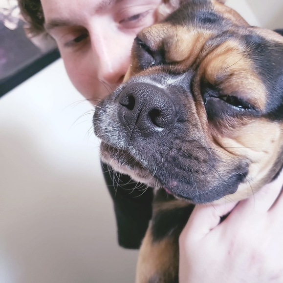 Meet your Posher, Mark - Picture 1 of 1